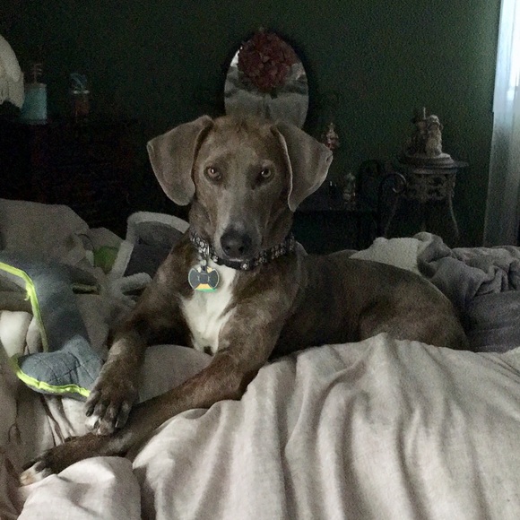 Meet your Posher, Emily - Picture 2 of 2